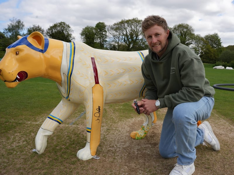 Dozens of famous faces & featured artists have had a paw in designing and painting the Pride of Yorkshire, such as England cricketer Joe Root.