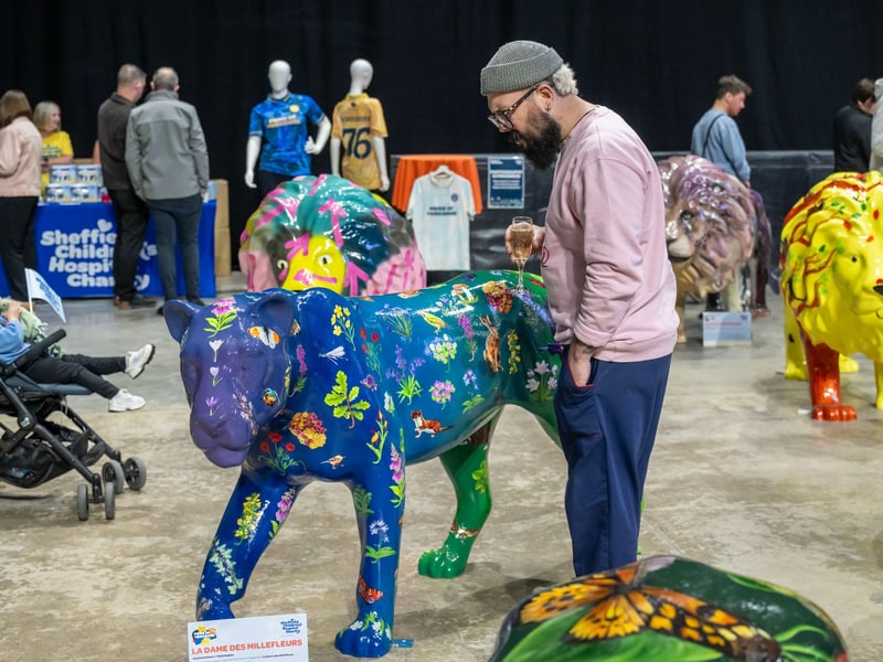 The lions are on display until September, then they will be auctioned for charity at Meadowhall in October.