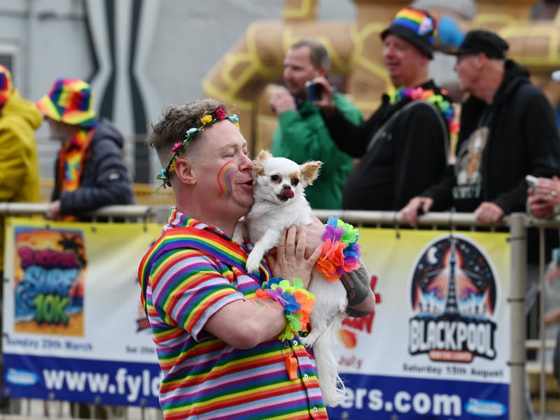 There were also colourful pooches.