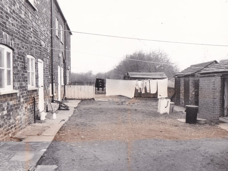 Cottages on Colton Road East with outside toilets pictured in February 1981.