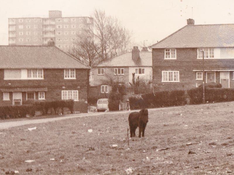 Gipton Square pictured in April 1980.