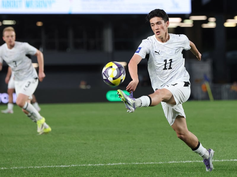 Puma have released some poor shirts this summer, but this New Zealand one is definitely one of the better ones at the tournament. The All Whites will stand out with this basic, but strong, design at the tournament.
