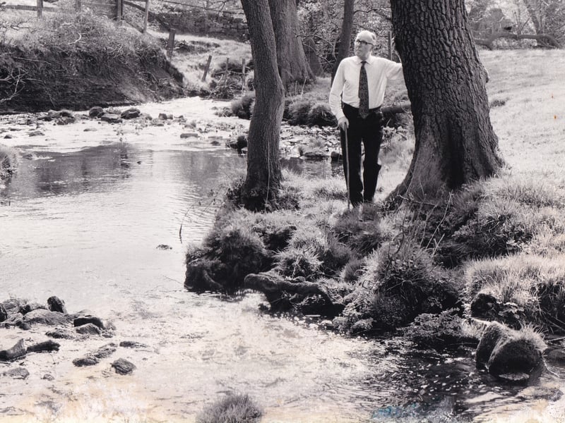 Author Fred Casperson, a member of the Yorkshire Archaeological Society and the Thoresby Society, admires the splendour of Meanwood Valley at Smithy Mills in April1987.