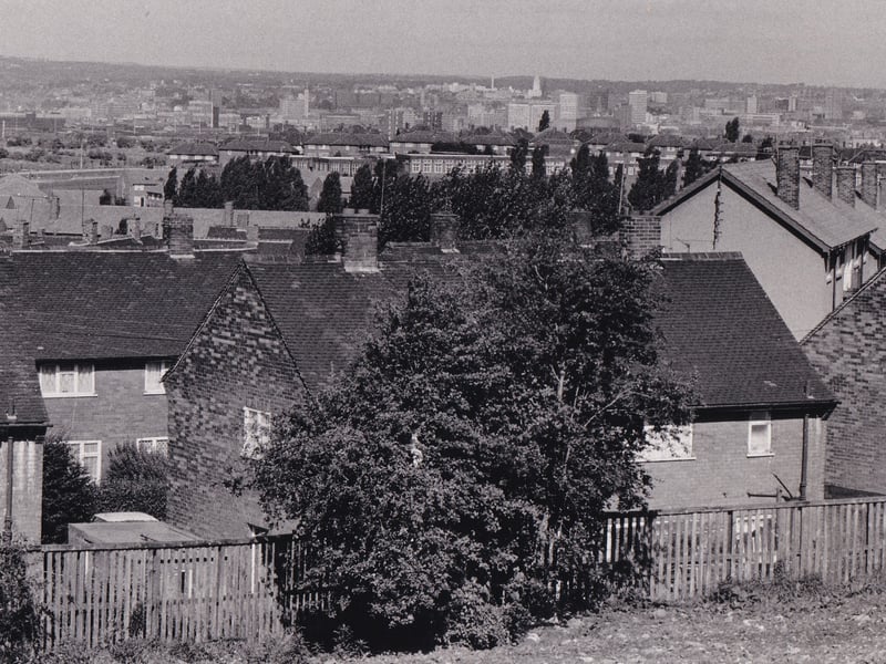 Homes on the Belle Isle estate pictured in September 1987.
