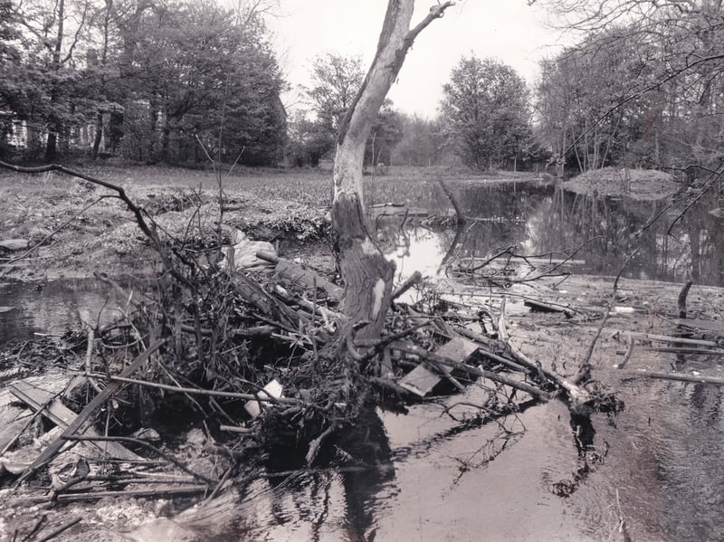A flooded section of Meanwood Beck pictured in May 1986.