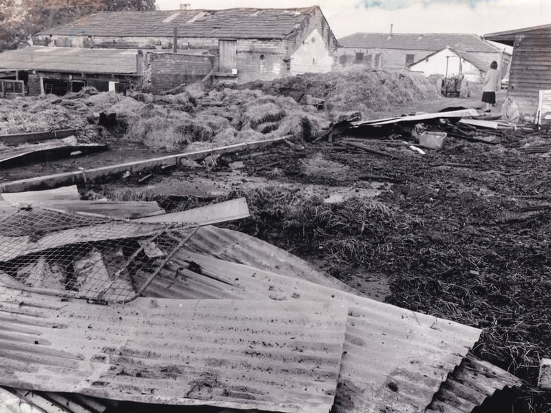 August 1988 and a blaze at Meanwood Model Farm caused an estimated £40,000 worth of damage and killed a pony. A 24-year-old man was questioned by police in the aftermath.