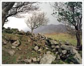 Glenhoghan Cillín by Oughterard artist Lorraine Tuck will be at the city's Printworks Gallery. 