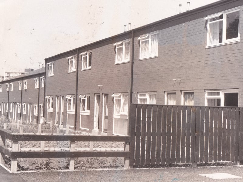 Houses on Northcote Drive in July 1976. They were making new news as they had no windows in the bathrooms and toilets.