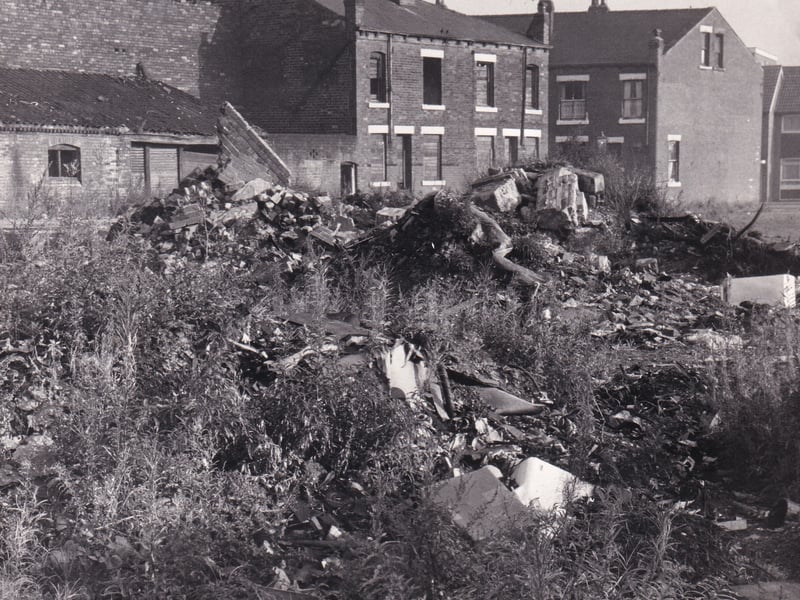 Open land viewed from Lupton Street in October 1971.