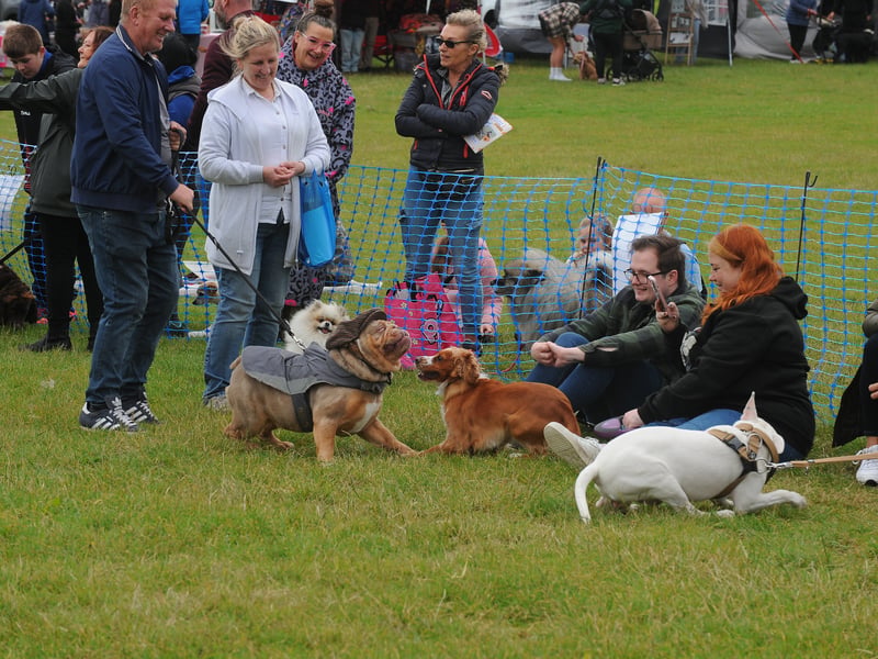 The parade ring at RSPCA Leeds and Wakefield and Leeds City College Paws in the Park 2026