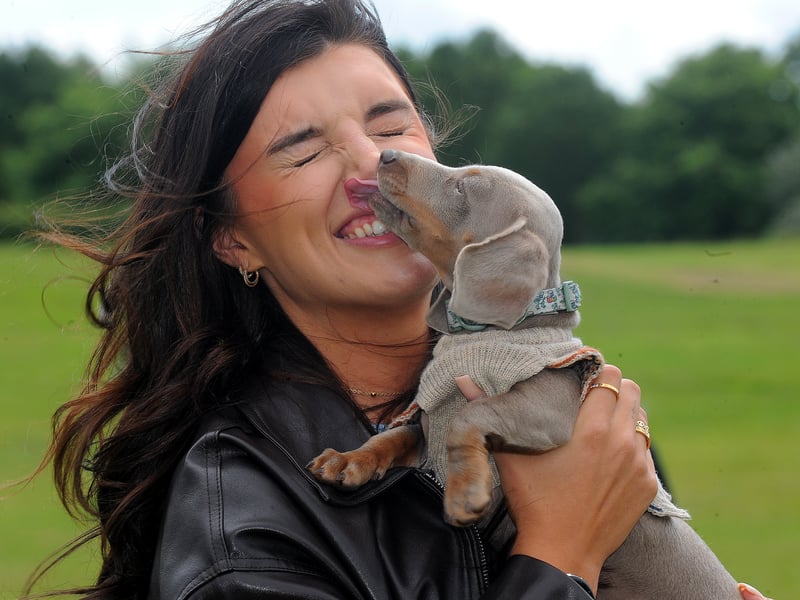Cutest Puppy Brian, a miniature Dachshund, seems happy with the result