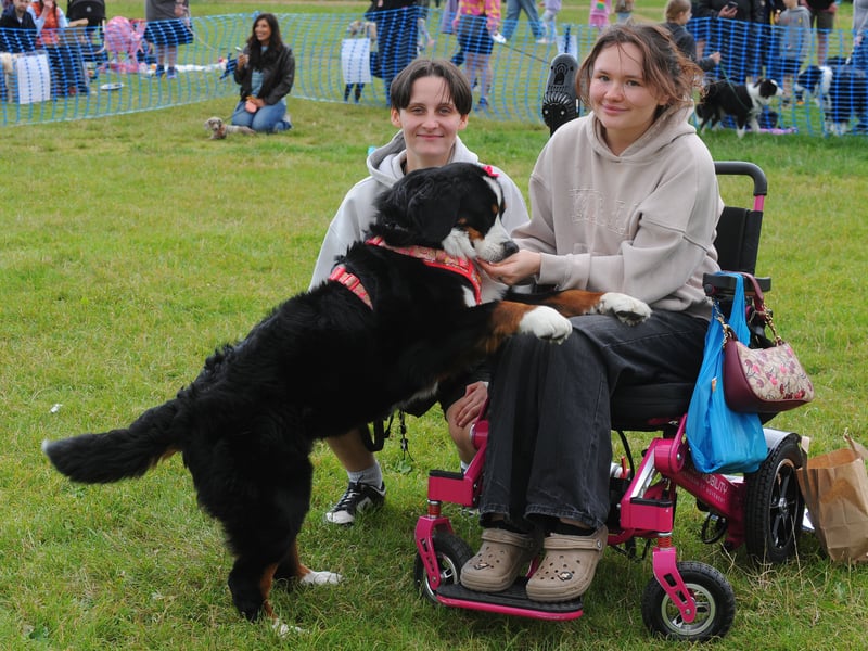 Kam Zietek and Lauren Moody with their Bernese Mountain Dog Lorelai, which won Prettiest Girl 
