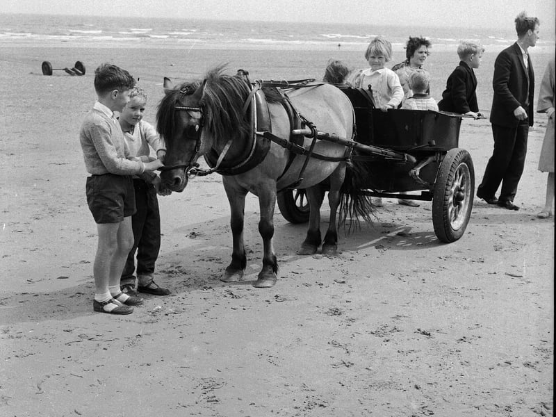 A pony and cart on Portobello Beach in September 1965.