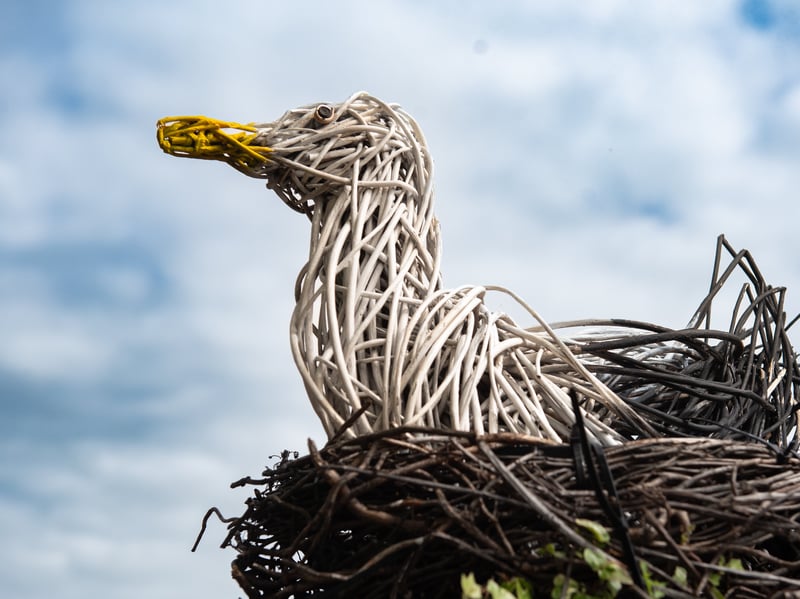 Fred Waller of Fred's Shed created these seagulls as part of Ansdell In Bloom. Photo: Lucinda Herbert