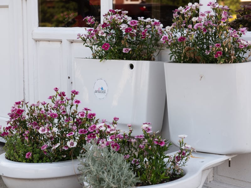 One of the quirkier flower displays outside a plumbing shop on Woodlands Road - some reclaimed toilets.  Photo: Lucinda Herbert