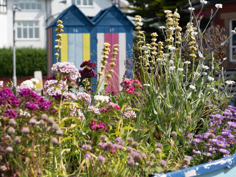 The Ansdell in Bloom volunteers have a continuing 'coastal' theme to their floral displays, which incorporates eye-catching structures made from re-purposed wood - including these colourful beach huts. Photo: Lucinda Herbert