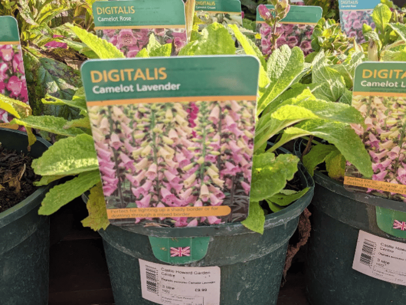 Set within the stable courtyard of one of Yorkshire's most iconic stately homes, this beautifully curated plant centre is a hit with readers looking for premium flora and a gorgeous historic backdrop. 📍 Castle Howard, York, YO60 7DA