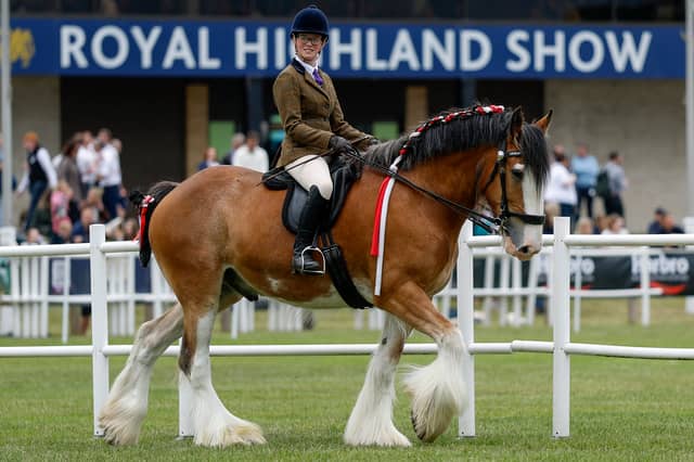 Clydesdale horses are shown during the 240th Royal Highland Show at the Royal Highland Centre on June 18, 2026 in Edinburgh, Scotland.