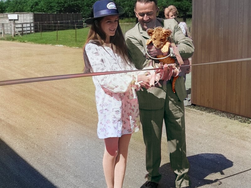 The Hon. Isobella Lambton cuts a tape to mark the official opening of Lambton lion park in July 1972.
With her is Mr Jimmy Chipperfield. The lion park, had 40 lions and other wildlife animals on 200 acres of land back then.