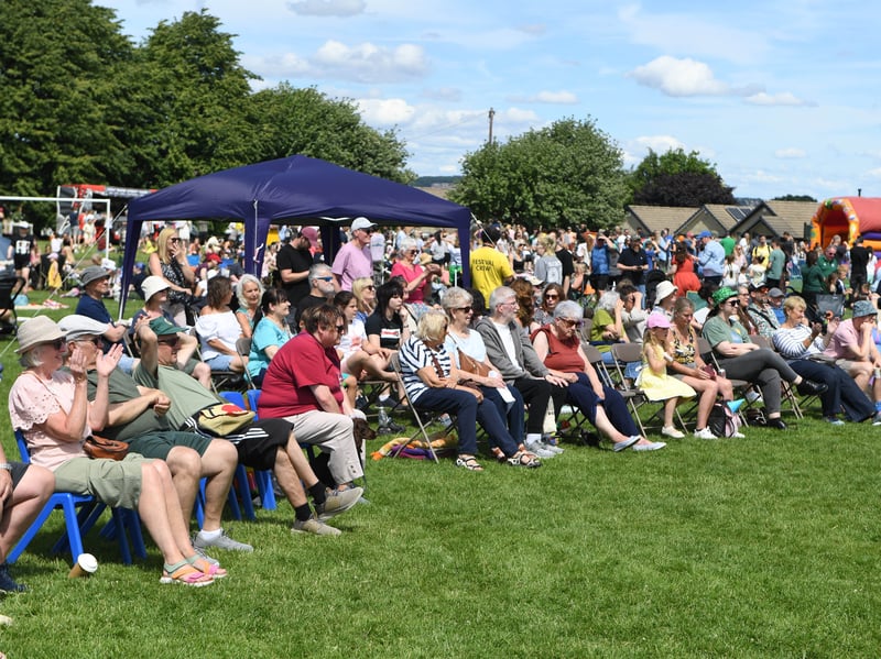 A busy park watches the acts on the stage.
