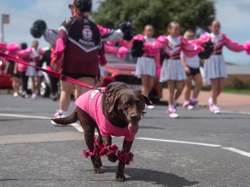 Fleetwood Carnival 2026
