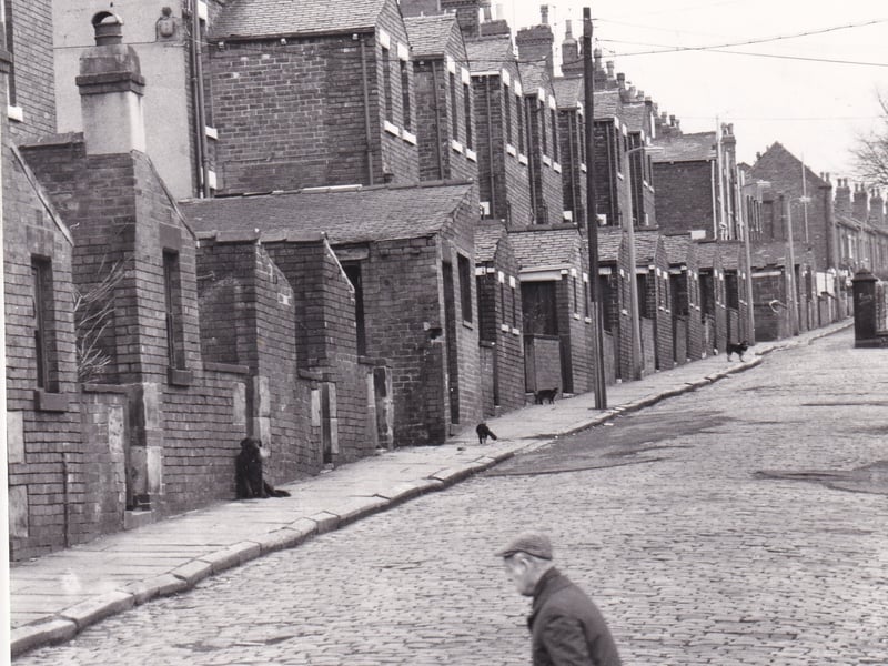 Grasmere Street, one of the streets planned for demoliton as part of slum  clearance.