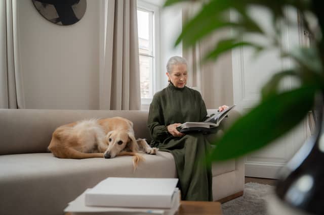 A Borzoi tolerating its owner.