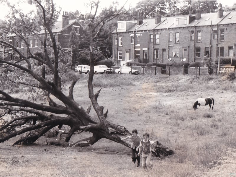 Rough land near Sugar Well Hill pictured in July 1977.
