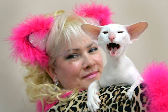 Some cats just can't help but be chatty.