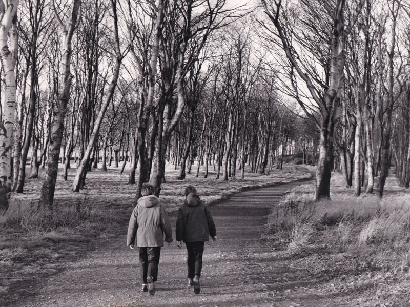 Farnley Park in November 1970.
