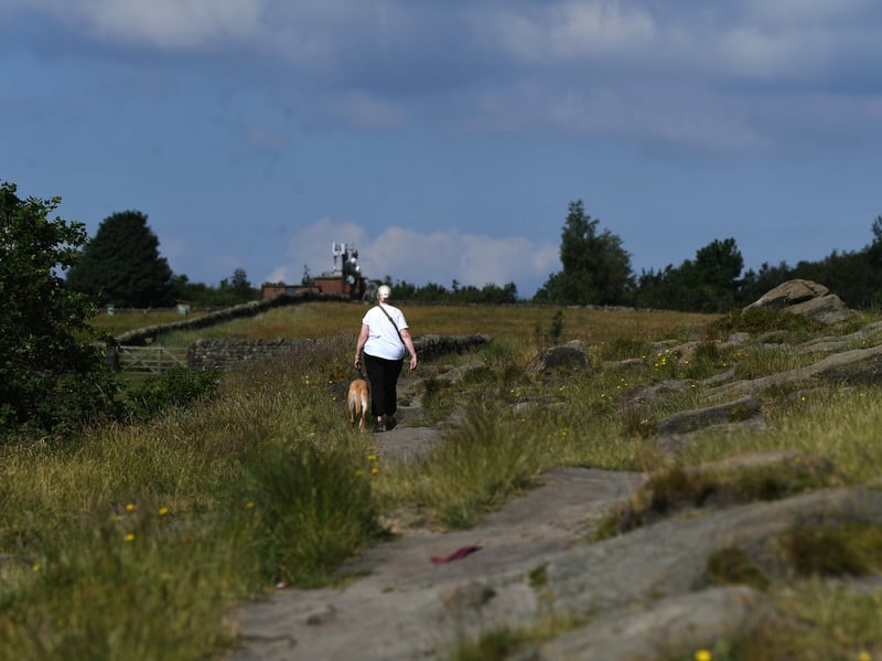 Dog walkers on Otley Chevin