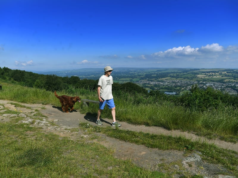 Brian Lafferty walks his dog on Otley Chevin 