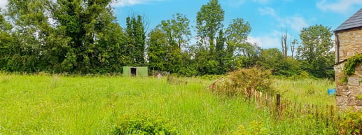 Moss Cottage