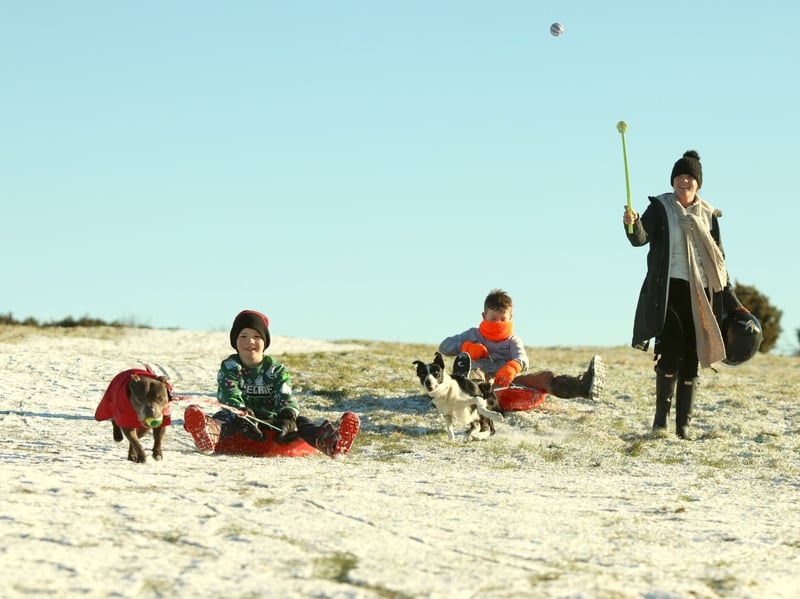 Snow at Butser Hill, Portsmouth on Monday, January 5, 2026. Pictured is Simon, 11, with Lola the sheep dog and Frankie, nine, with Sasha the Staffordshire Bull Terrier.
