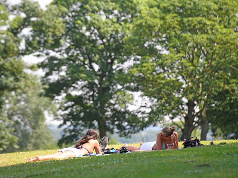 Enjoying the sunshine at Hyde Park.