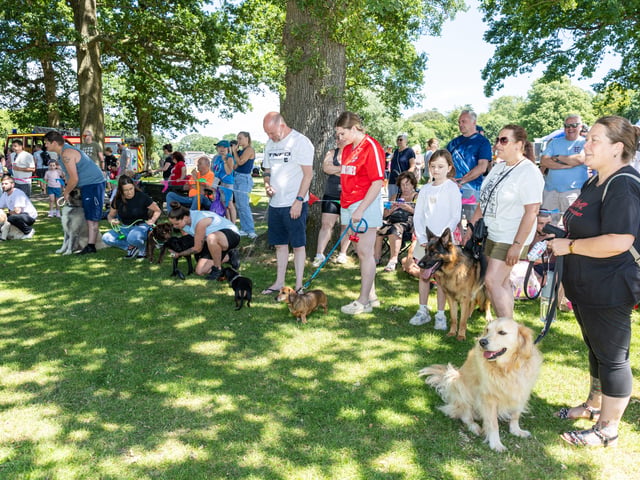 Waterlooville Summer Fete Picture: Marcin Jedrysiak