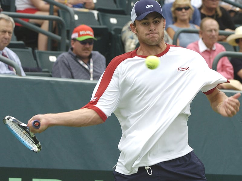 American player Andy Roddick reached five Grand Slams in his career - losing all but one to Roger Federer. His sole major win was the 2003 US Open. Still, his consistency meant that he was in the world top 10 for a full decade, earning him a fortune estimated at $40 million.