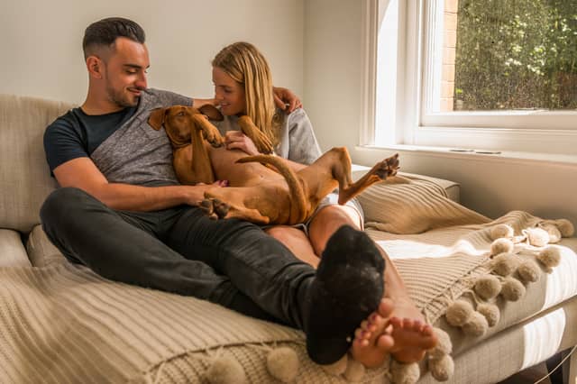 Some dogs want nothing more than to be close to their beloved owners. Others...less so.