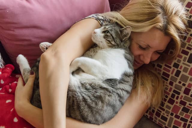 Some cat breeds just can't bear to be away from their beloved owner for long.