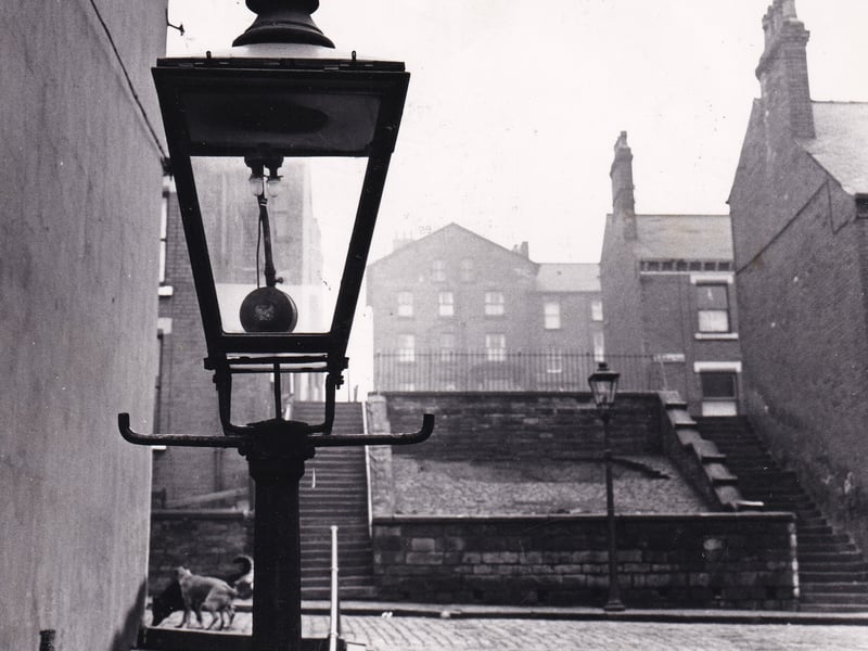 The Rosebanks pictured in January 1974.