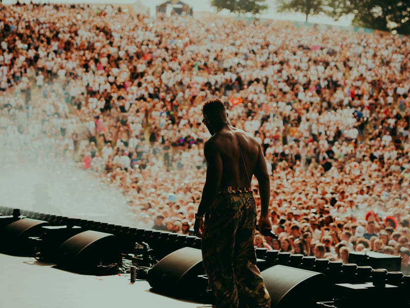 Rapper Tinie Tempah was part of the Friday's Roundhay Festival line-up 