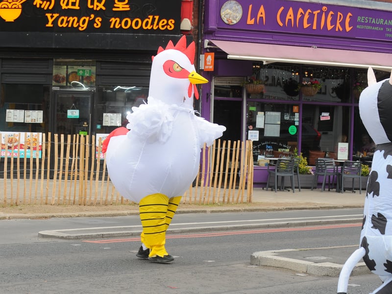 The chicken crosses the road to Hyde Park during the 'tea-total' Otley Run