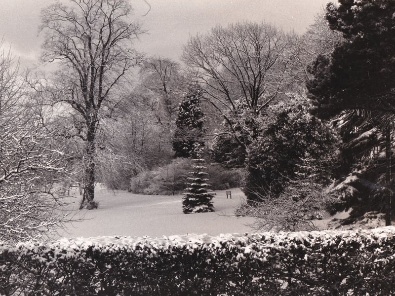 Snow brought peace and tranquility in December 1981.