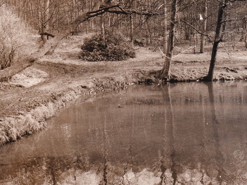Part of the end of Waterloo Lake in March 1985 after a clean up by Leeds City Council's parks department.