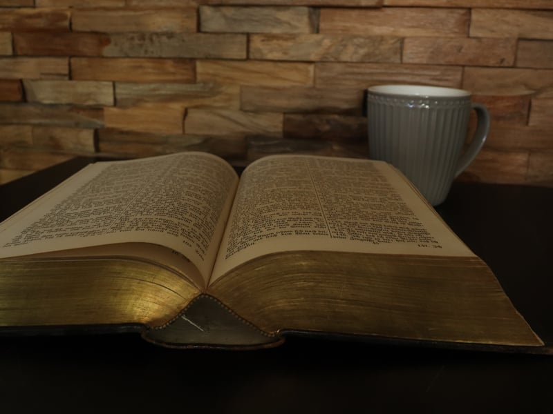 A new bookshop and tearoom is heading to the city after transforming a unit in Frederick Street. Chapter 13 officially opens on Saturday, July 18.