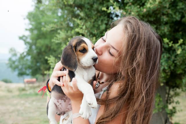 When it comes to getting your first dog, some breeds are more suitable than others.