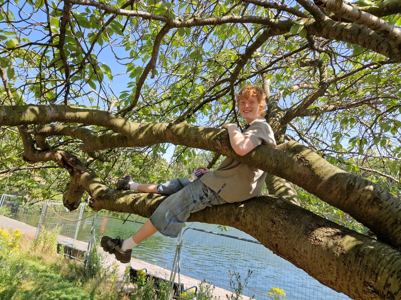 This young man found a comfortable and shaded spot in a tree in Crookes Valley Park. Photo: David Kessen, Iconic Media