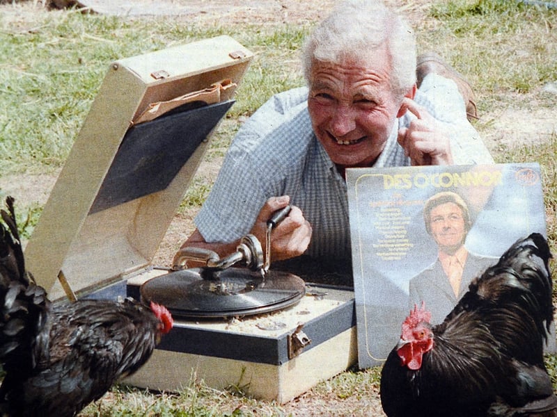 A rather unusual fox deterrent in Hadnall in 1994 as John Jinks used his record player to keep his bantams safe - with Des O’Connor providing the soundtrack. Do you remember this quirky local story?
