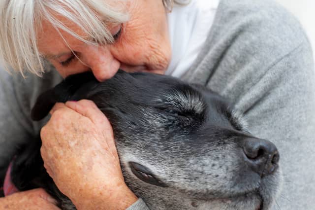 Some dog breeds are more likely to live long lives than others.