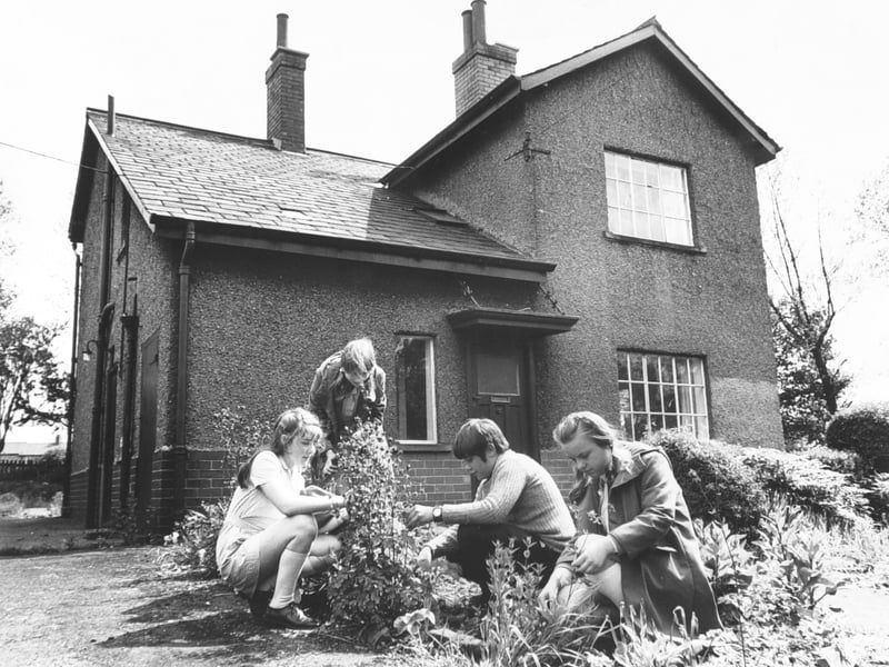 Pupils at Milefield Middle School, Grimethorpe, in the garden in June 1972. Pictured from left to right are Susan Woodcock, Dawn Fisher, Geoffrey Fletcher and Paula Wiggins.